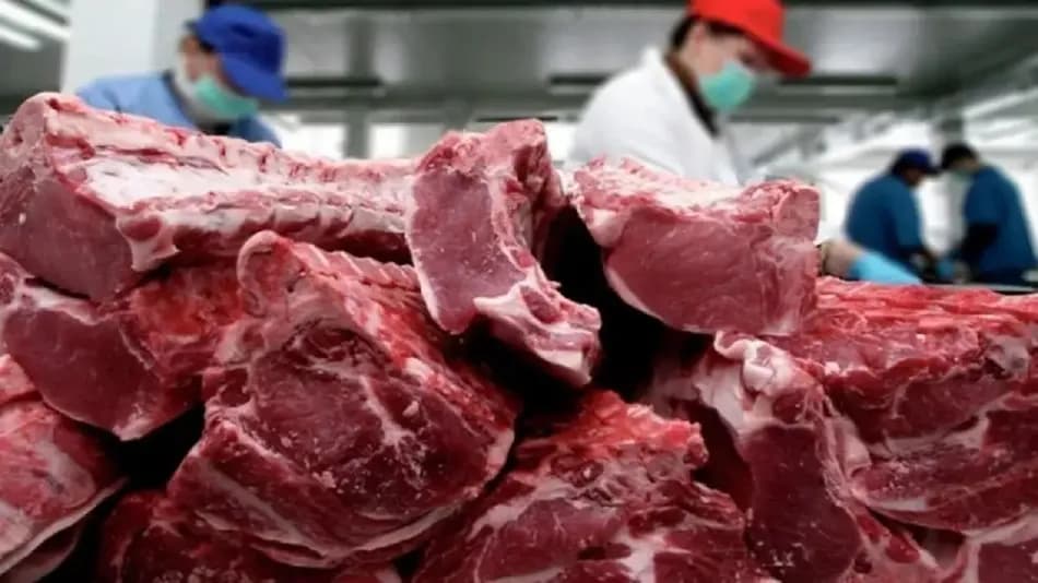 Exportación de carne argentina a Estados Unidos: qué pasó con un cargamento de 13,4 toneladas que fue retirado del mercado