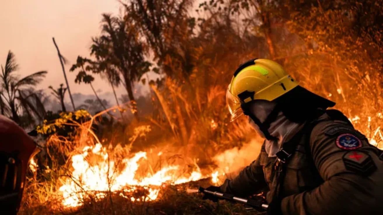 Cómo se está trabajando para contener los incendios en el parque nacional Nahuel Huapi