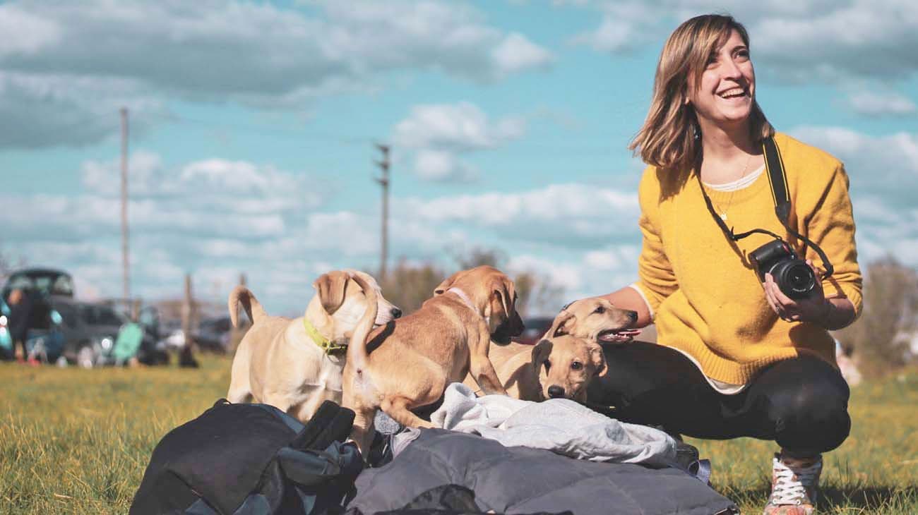 En tres de cada cuatro hogares argentinos hay al menos una mascota y más del 60% son adoptadas