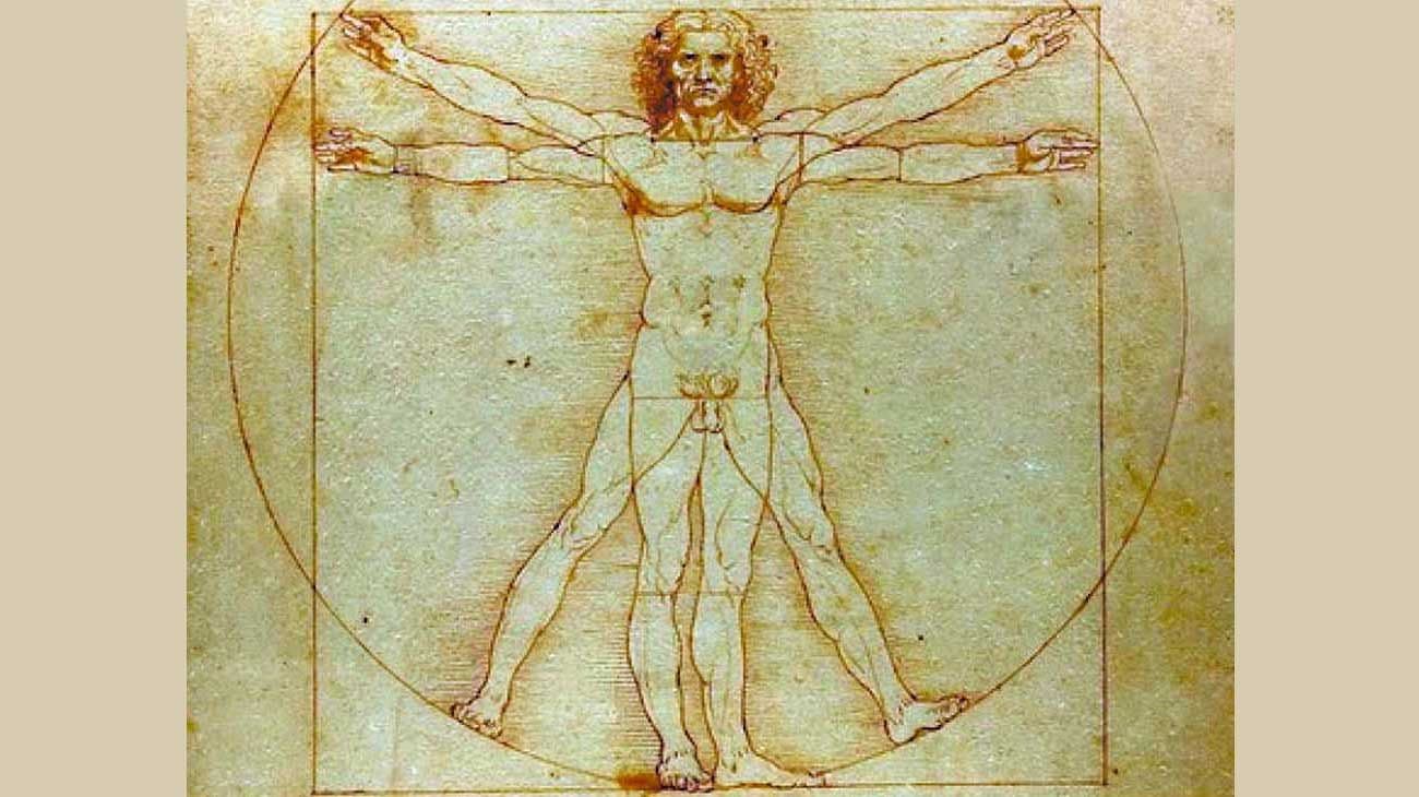 El retorno del Hombre de Vitruvio