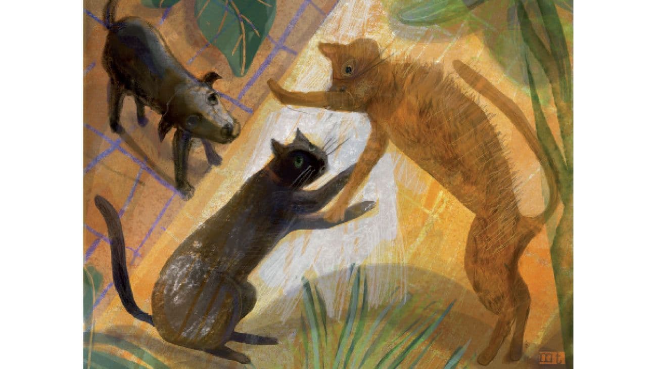 Animales