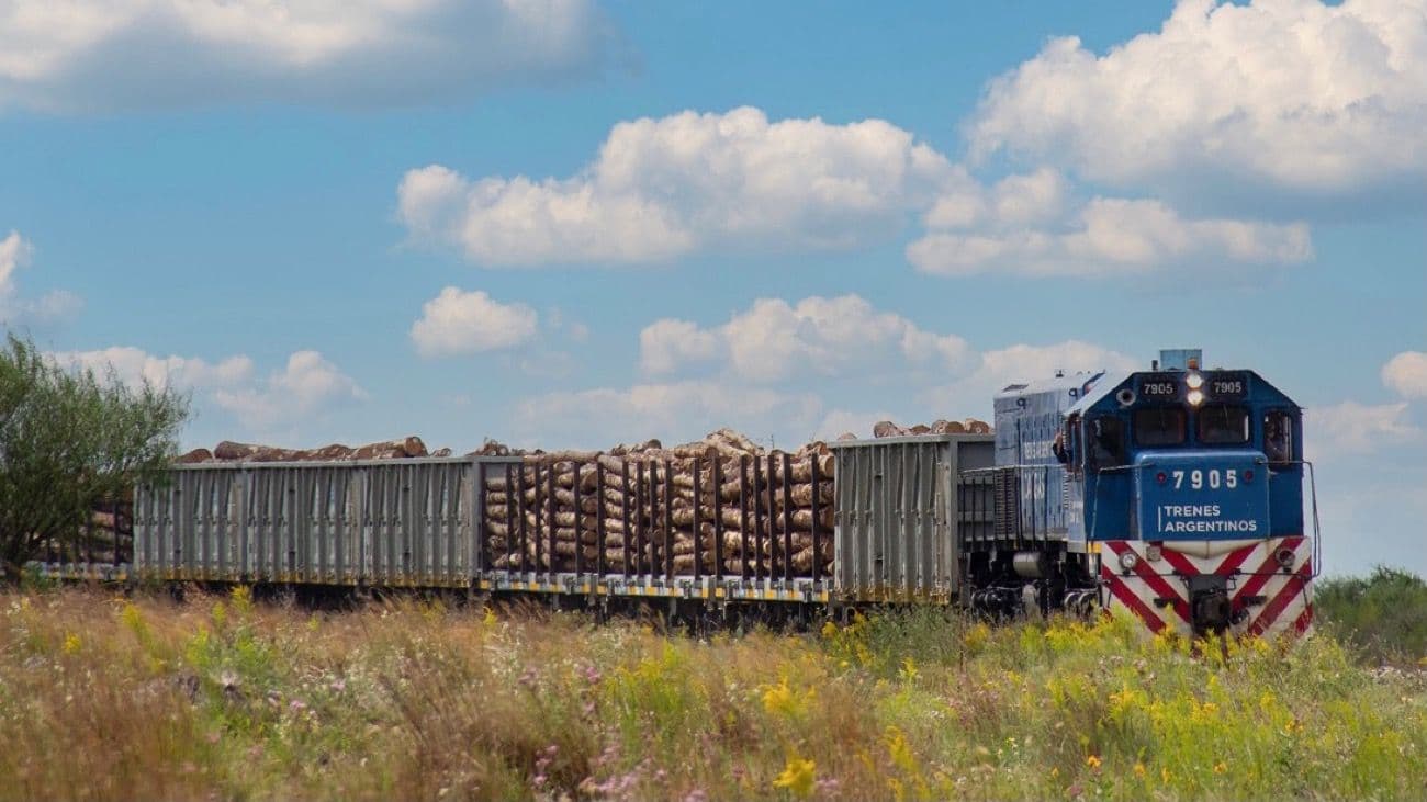 Trenes de carga: el Gobierno no renovó las concesiones y volverán a ser de gestión estatal