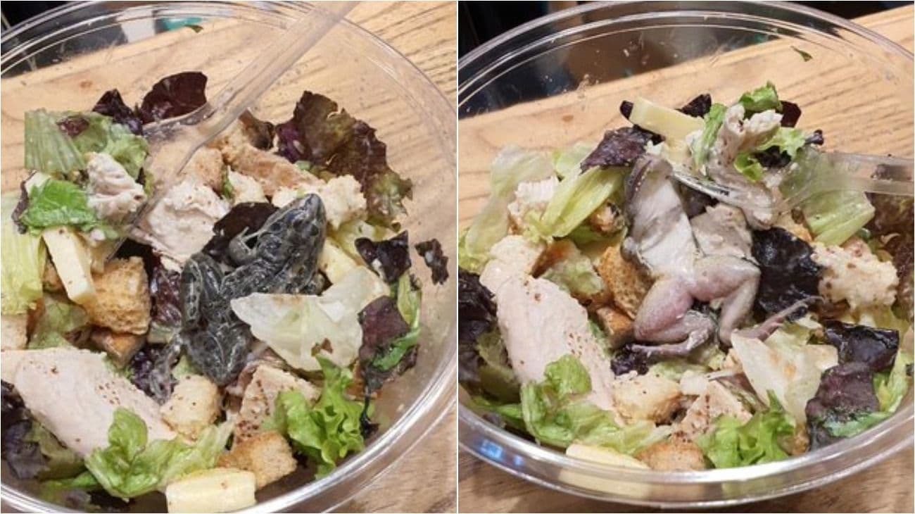 Habló la mujer que encontró una rana en su plato: "Llegué a comer la mitad de la ensalada"