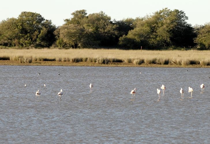 Humedales, la próxima frontera