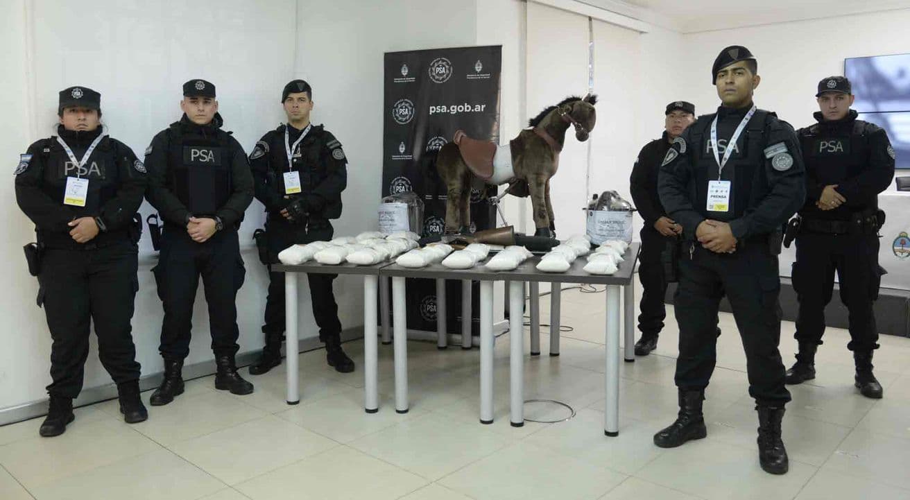 La mafia china podría estar detrás del "caballito narco" enviado desde Bélgica