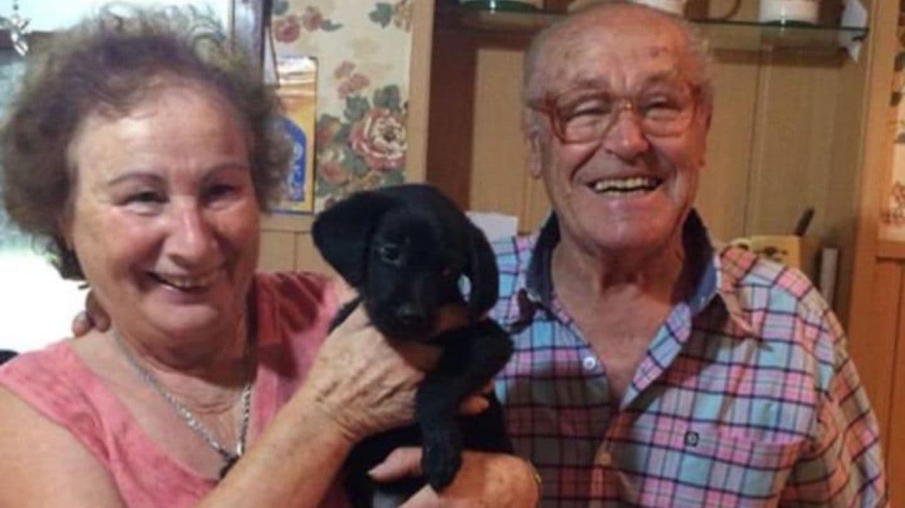 Sorprendieron a sus abuelos al regalarles una perra y su reacción conmovió a todos