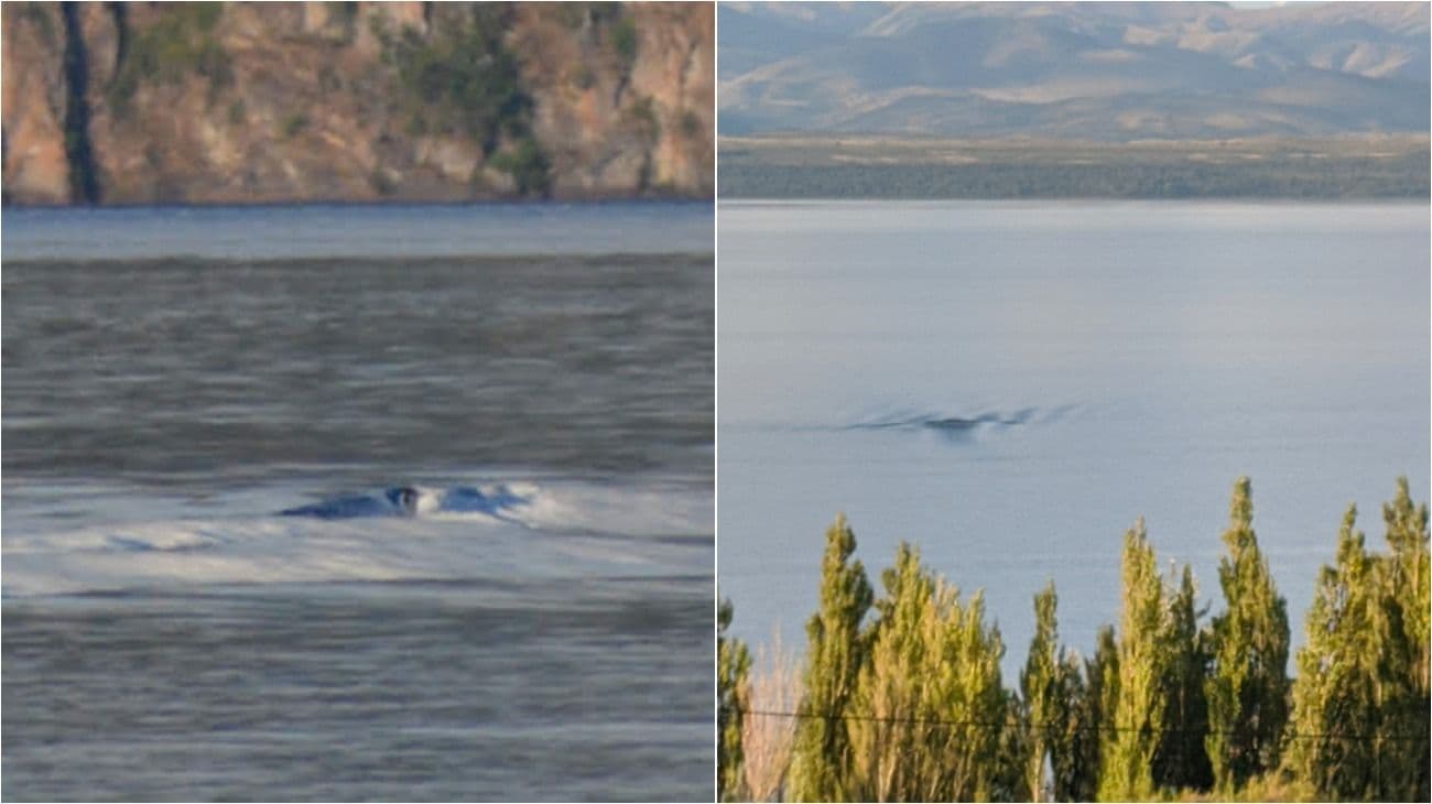 Aparecen más videos y fotos que acrecientan el misterio del 'Nahuelito'
